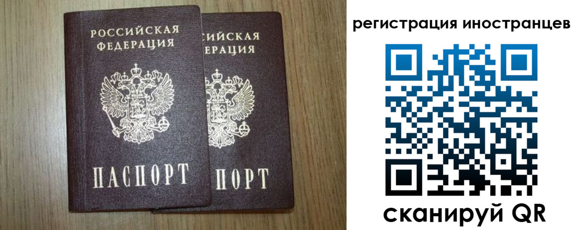 прописка для школы в Ростове-на-Дону